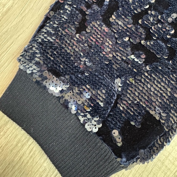 Anthropologie ett:wa Velvet sequin joggers size Small navy fully lined - Picture 9 of 9